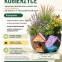Zielona rewitalizacja w Gminie Kobierzyce
